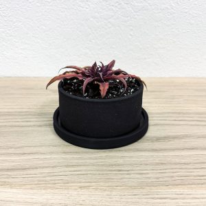 black ceramic planter